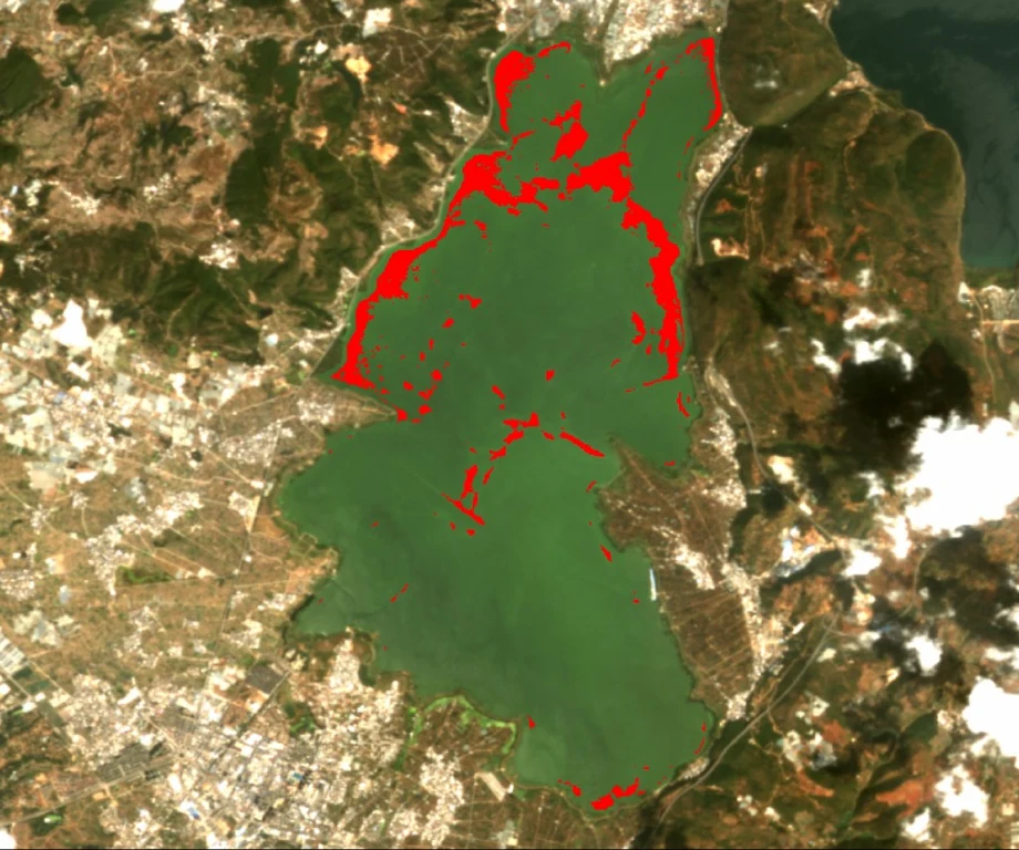 中国云南星云湖水华分布