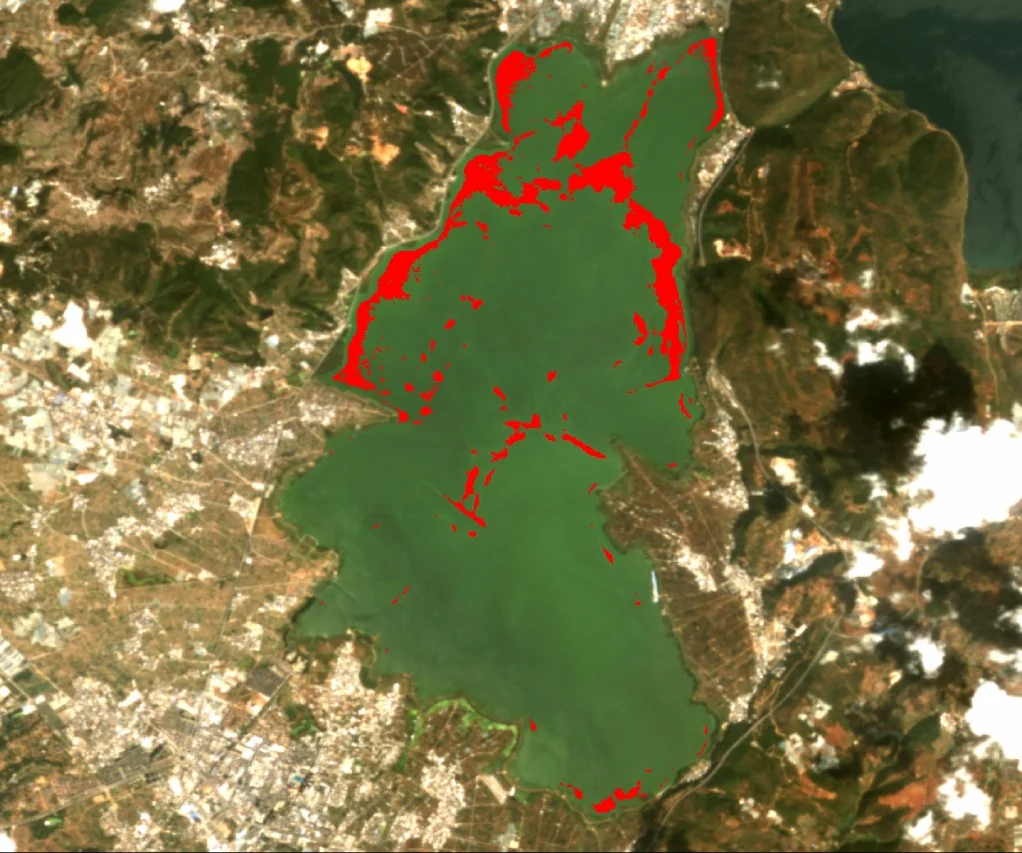 Algal bloom distribution map of Xingyun Lake